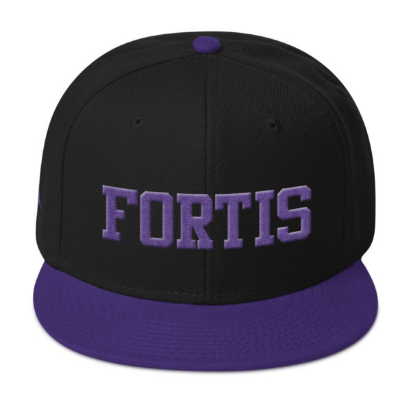 Purple and Black Fortis snapback by Expressive Teez