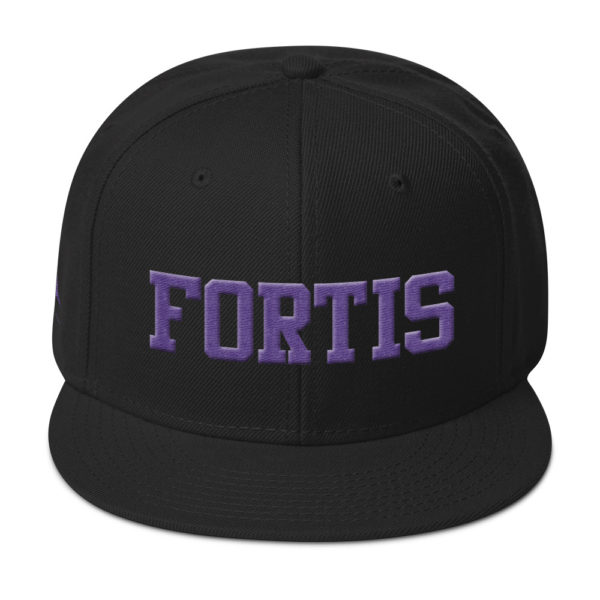 Black Fortis snapback by Expressive Teez