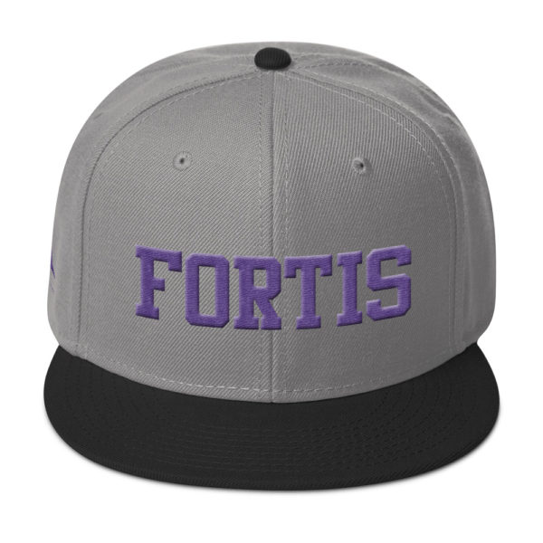 Black and Gray Fortis snapback by Expressive Teez