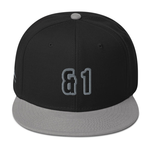 Gray and Black Expressive Teez And 1 Basketball Snapback Hat