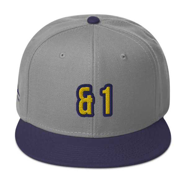 Navy and Gray Expressive Teez And 1 Basketball Snapback Hat